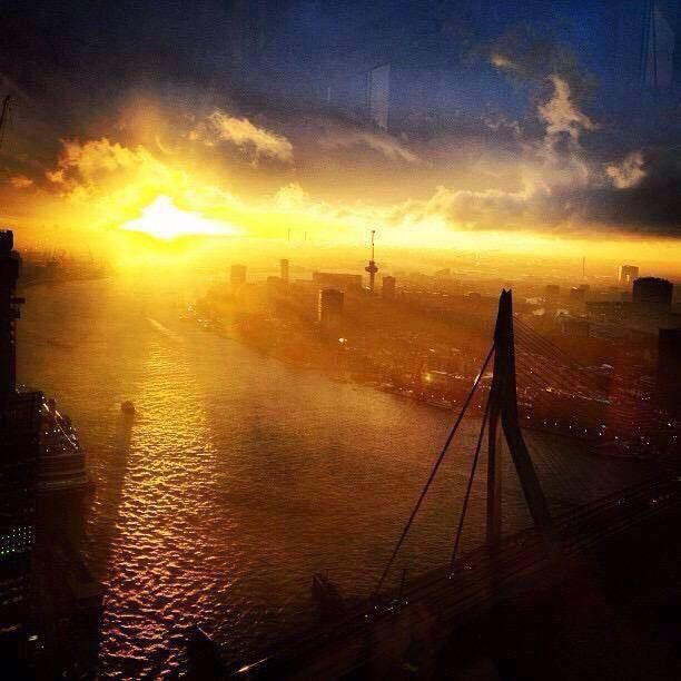 A sunset over a body of water with a bridge in the foreground - Rotterdam Sunset