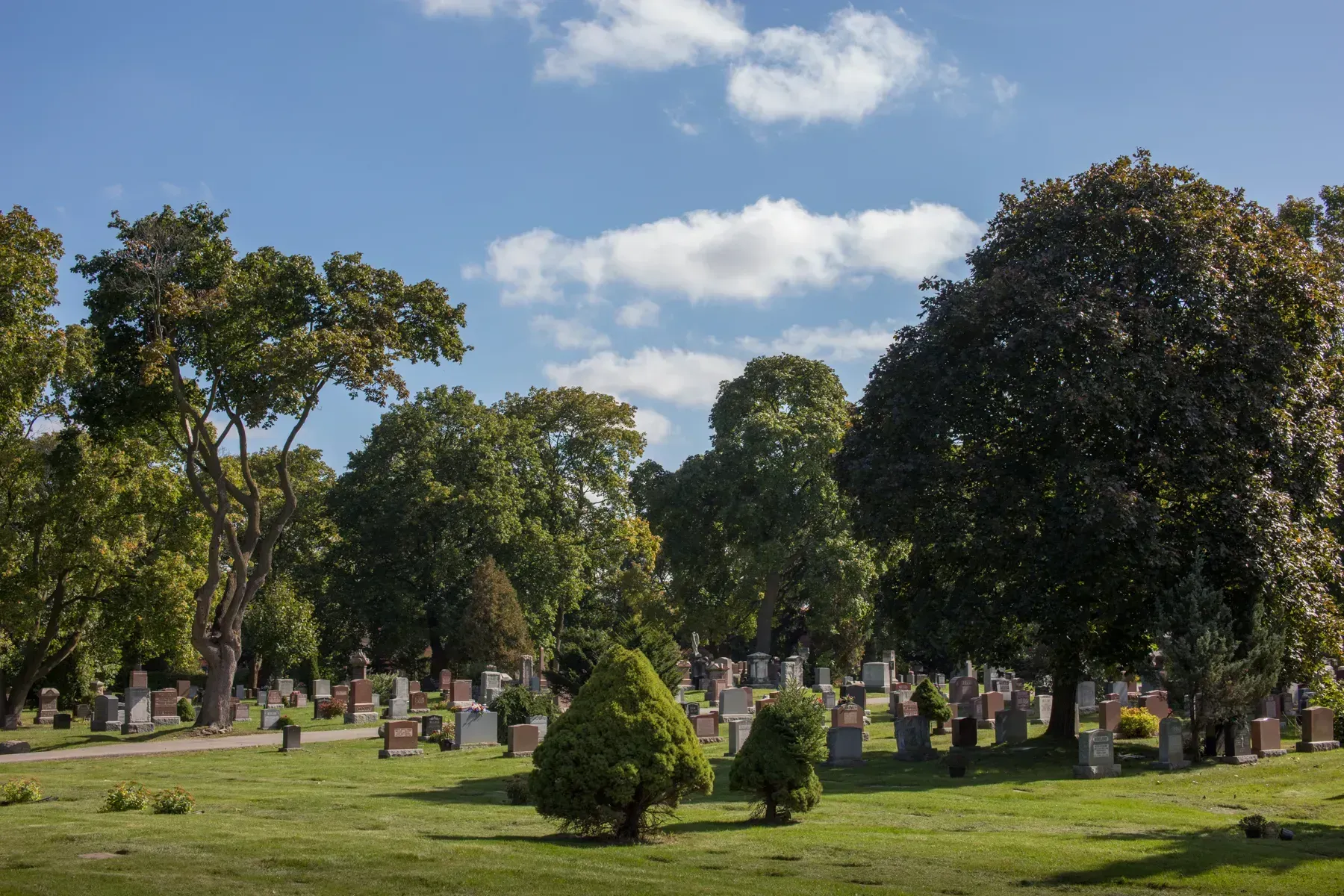 Tree-lined cemetery with gravestones under a blue sky and clouds