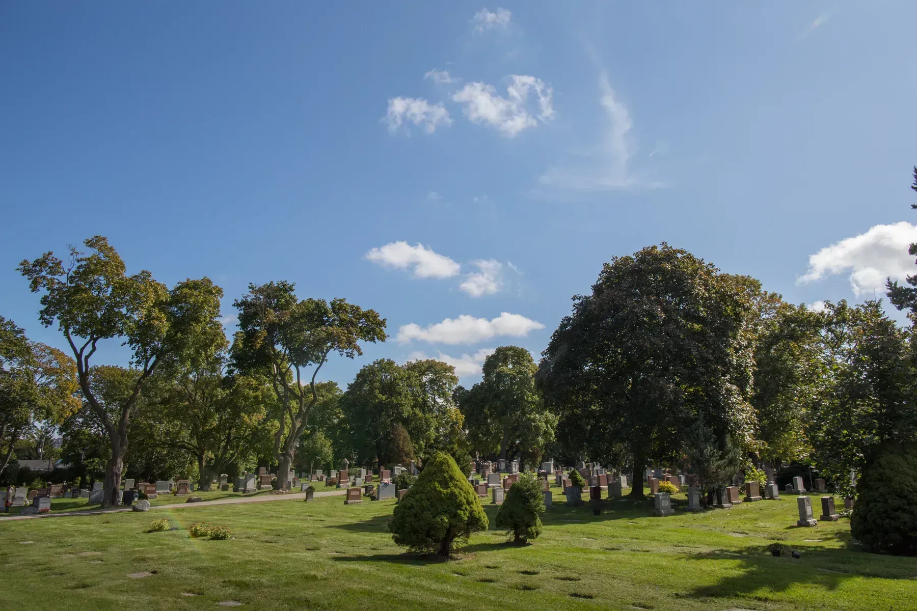 Sunny park with green trees, grass, and a blue sky with scattered clouds.