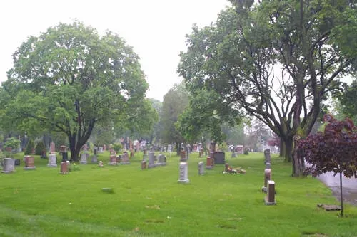 Grassy cemetery with scattered headstones, large trees, and a misty background