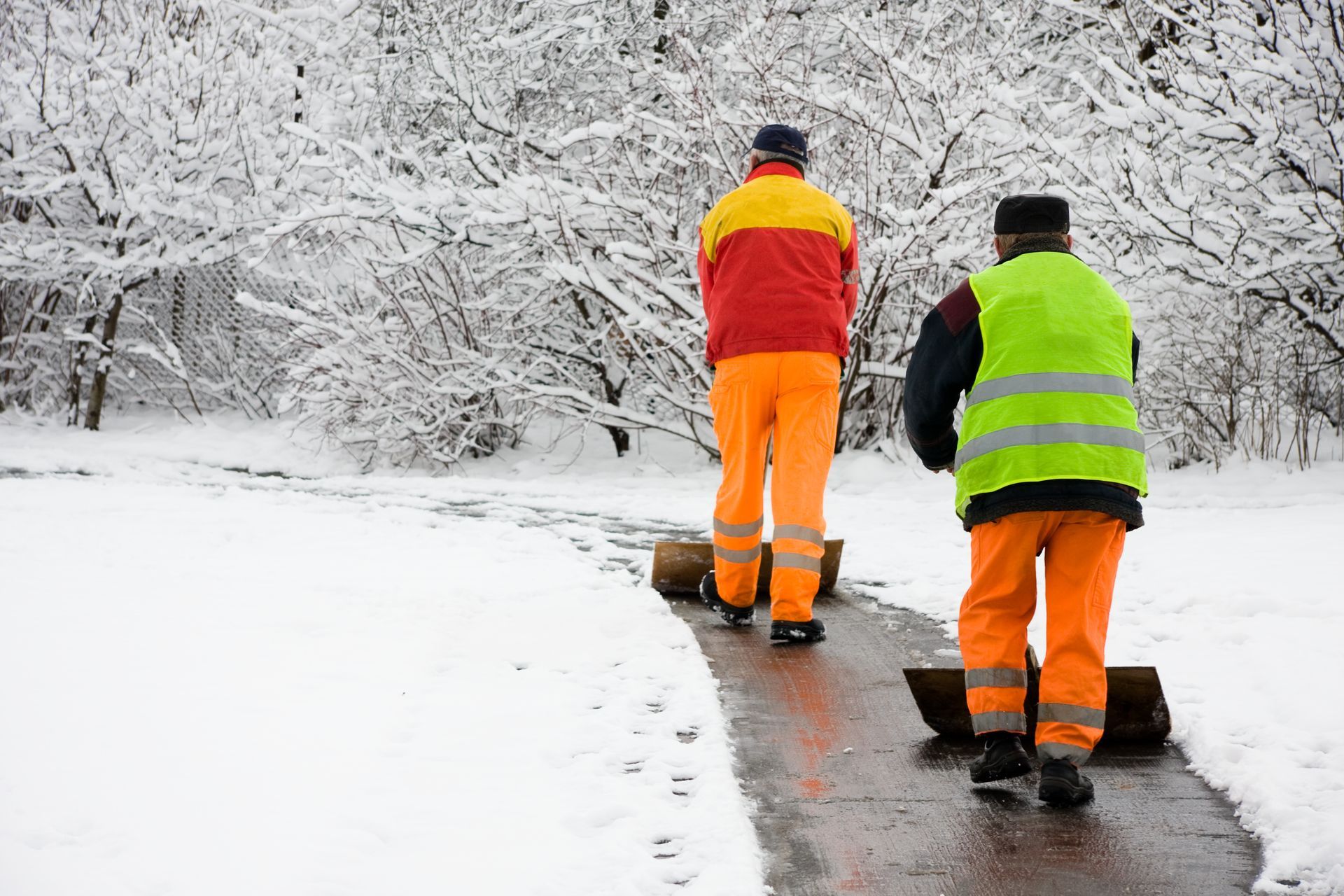 Two workers in high-visibility clothing shovel snow from a park path on a winter day.