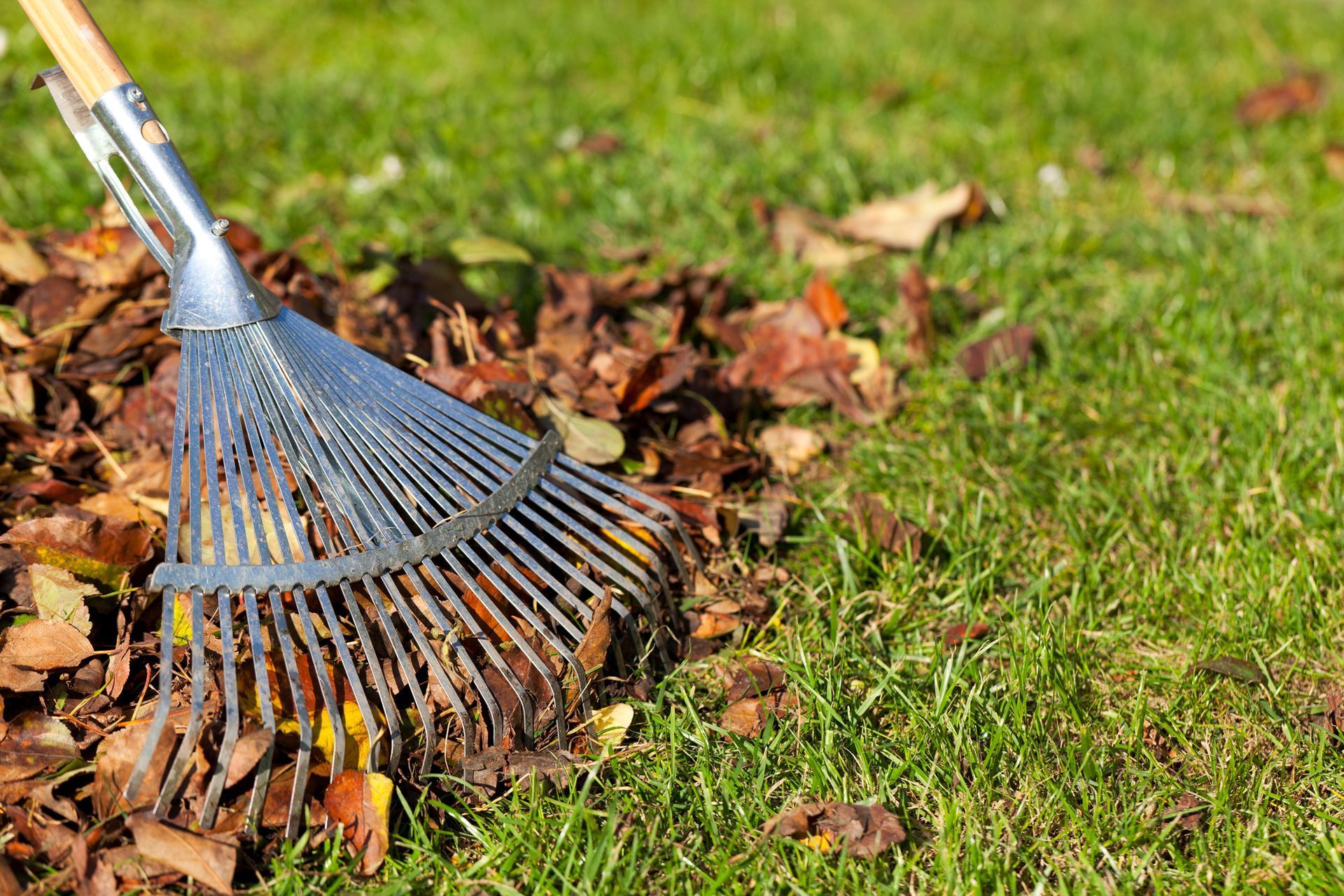 Two people cleaning up dry leaves and debris from a green park lawn into a large black plastic bag.