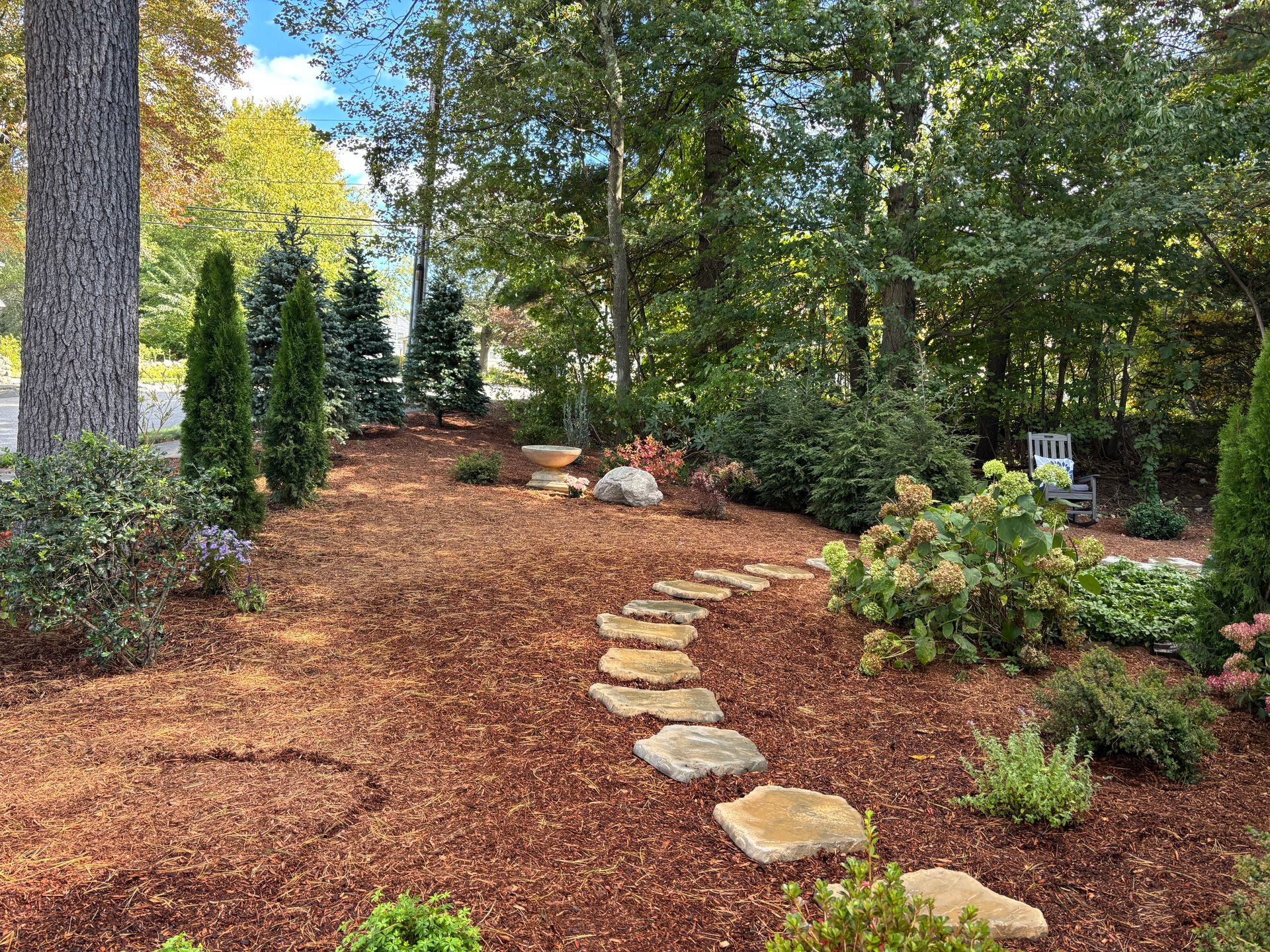 A curving stone path winds through a mulch-covered garden with small evergreens, shrubs, and trees in a sunny woodland.