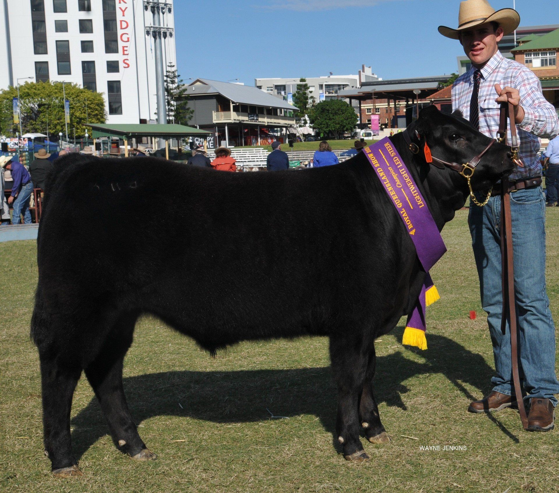 Champion Light weight lot 110