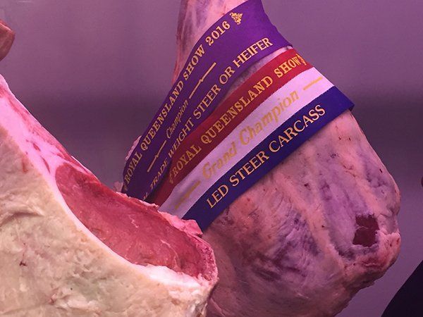 Grand-Champ-Carcase-EKKA-2016-600