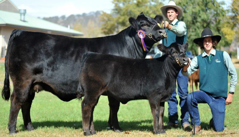 2016 Apr 12 Meat Livestock Event