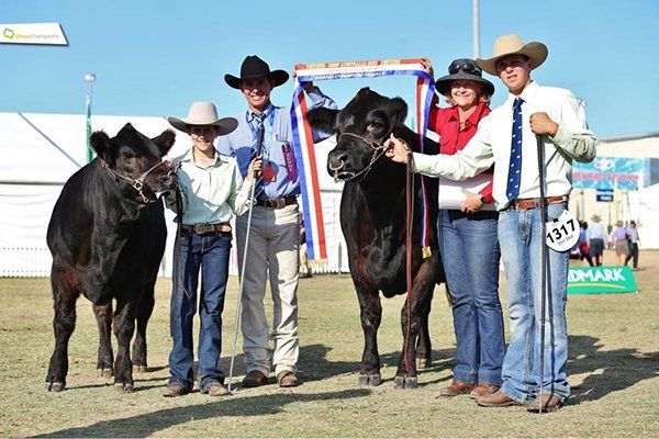 Grand Champion Limousin Female Beef Week 2015