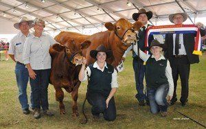 Grand champion cow with exhibitors Mick and Mary Parsons, Roslyn, NSW, Hayden Green, Bowral, NSW, judge Steve Crowley, Barraba and handlers Belinda Barns, and Hayley Jones, Camden, NSW.
