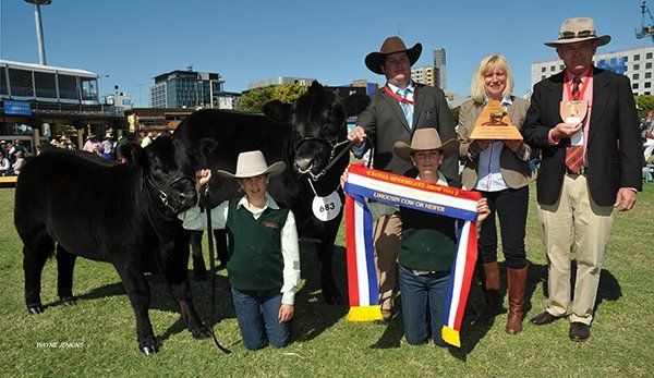 Judge Hayden Green , Mittagong, NSW, Sandy O’Sullivan, and Blake Munro, Elders, with handlers Lannah and Carmen Sowden, Kingaroy, Q, with the grand champion female