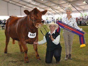 Junior champion heifer with Susie Trout, Wagga, NSW, and exhibitor Annette Tynan, Wagga, NSW.