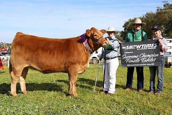 Rachel Relf with her Supreme Champion Exhibit Warrigal Golden Caviar, photo courtesy of Show Champions.