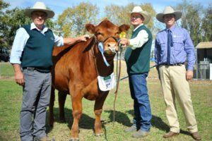 Reserve Junior Champion Female MCP