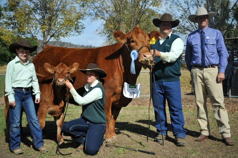 Reserve Junior Champion Female