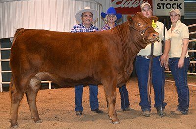 Top Price Female National2