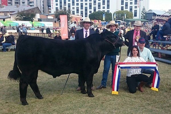Cow awarding