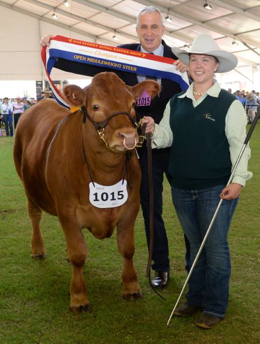limousin 1015