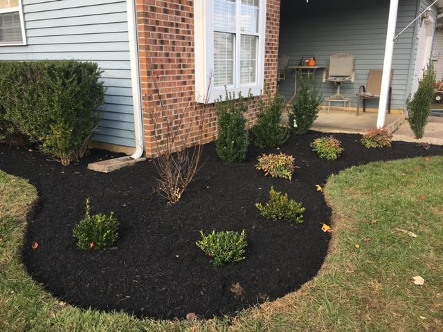 A brick house with a lush green lawn and black mulch in front of it.