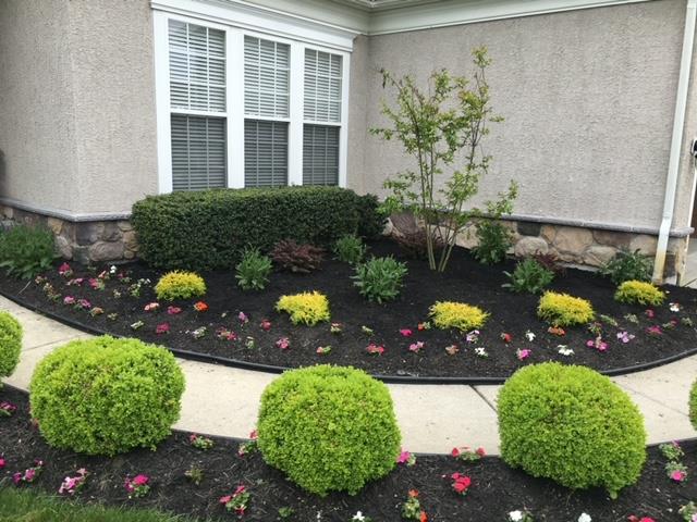 A garden with flowers and bushes in front of a house.