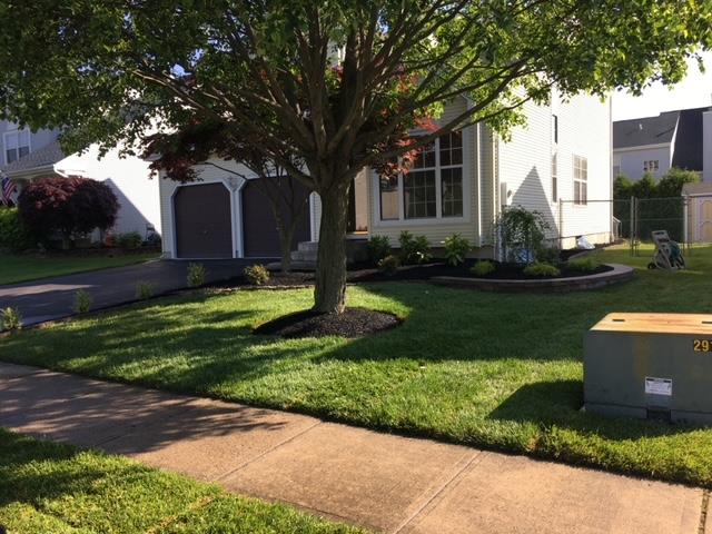 A white house with a tree in front of it