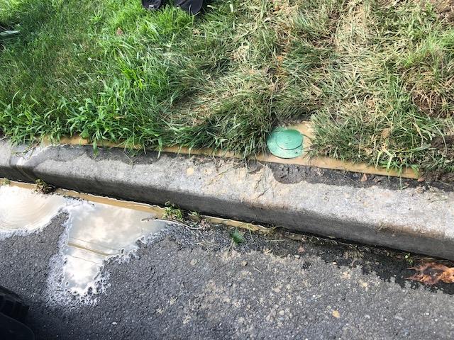 A green object is sitting on the side of the road next to a curb.