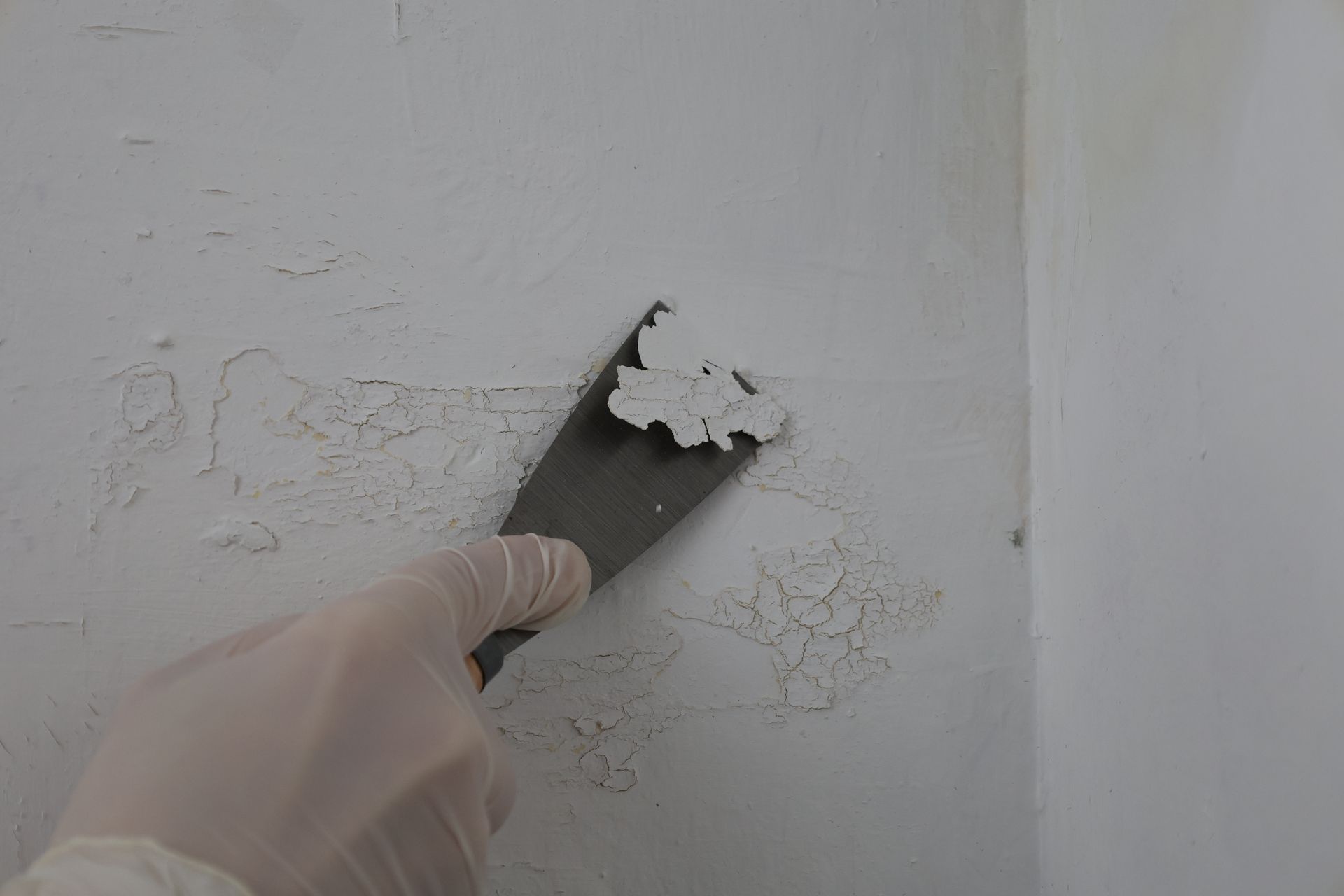 A gloved hand removes old paint from a wall with a spatula.
