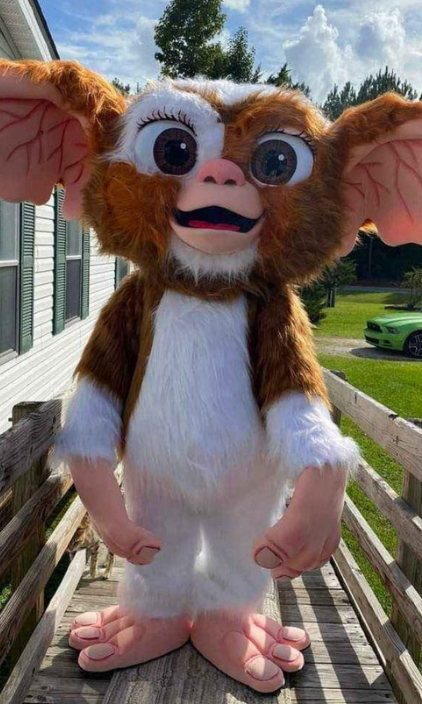 A stuffed gizmo from the movie gremlins is standing on a wooden deck.