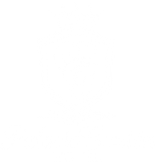 Fondo blanco vacío.