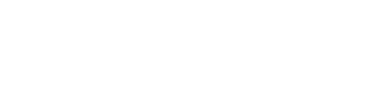 Blank white rectangle with a thin black horizontal line near the bottom edge.