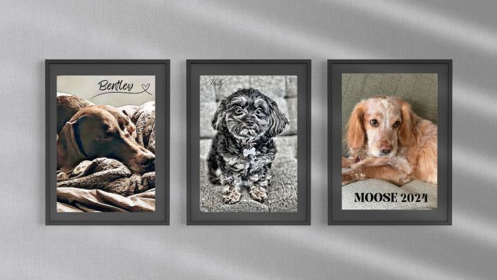 Three framed pictures of dogs are hanging on a wall.