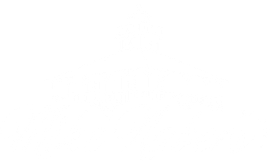 A white background with a few lines on it