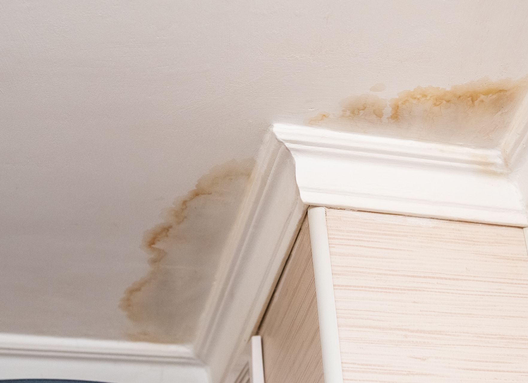 A corner of a ceiling with a stain on it.