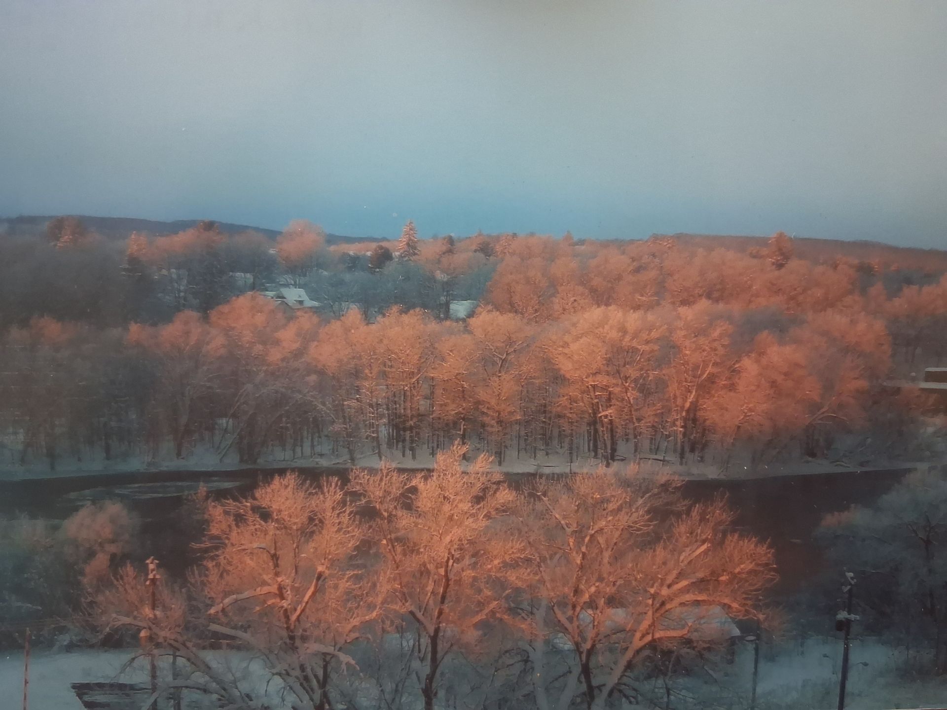 Snow-covered trees at sunset, reflecting warm orange light. A river and distant buildings are visible.
