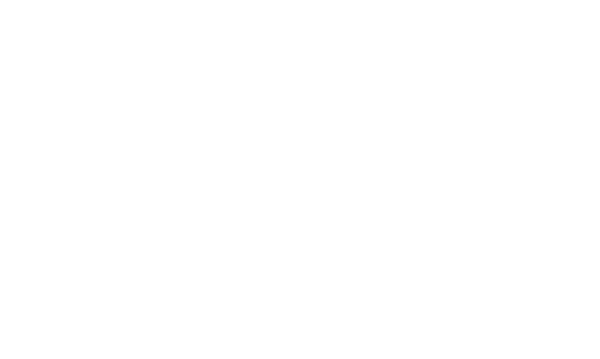 LOGO FALZONI PARRUCCHIERI