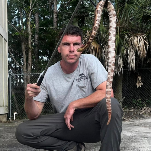 Man kneeling, holding snake with a grabber, outdoors. Snake is brown and tan.