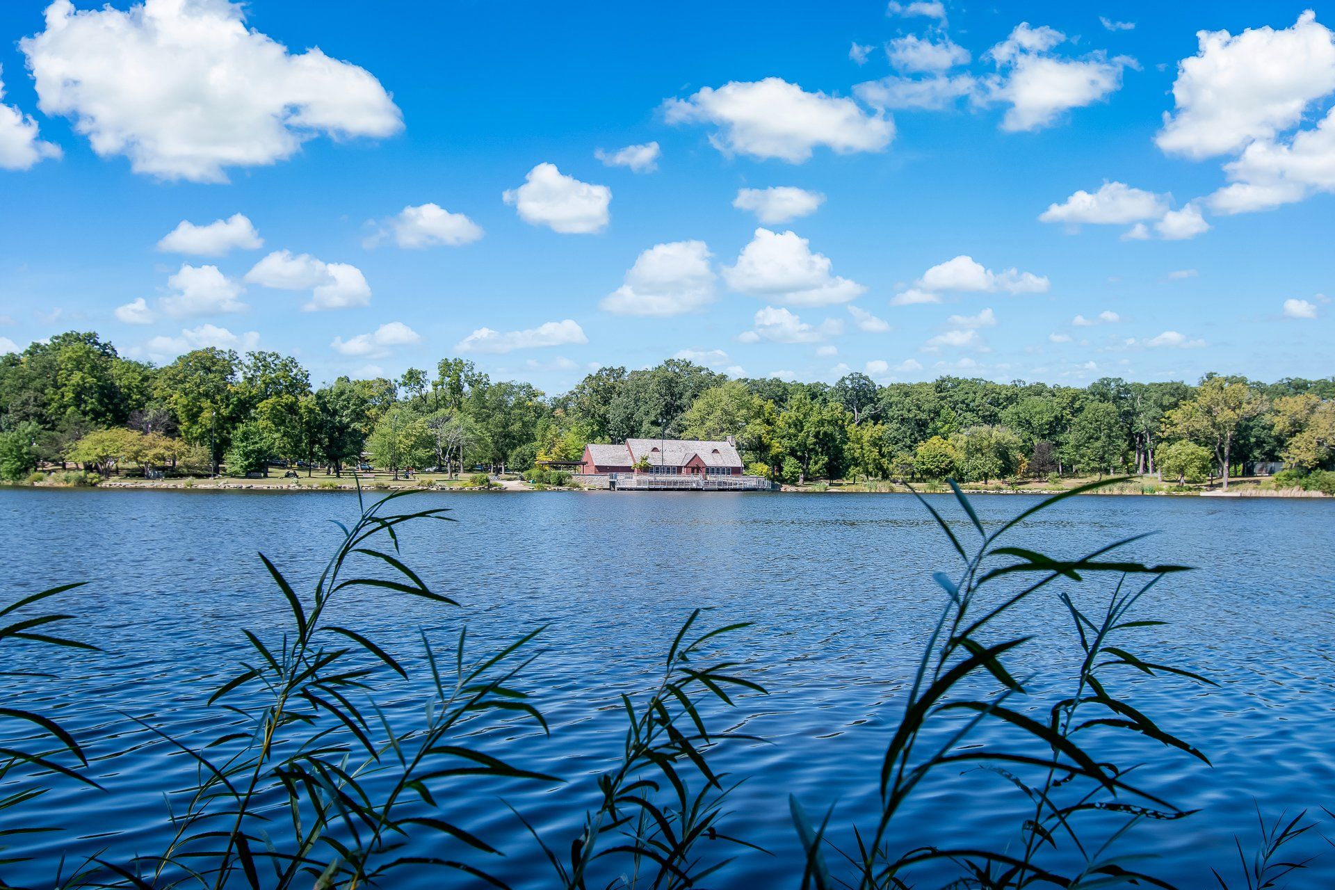 A large body of water surrounded by trees on a sunny day.
