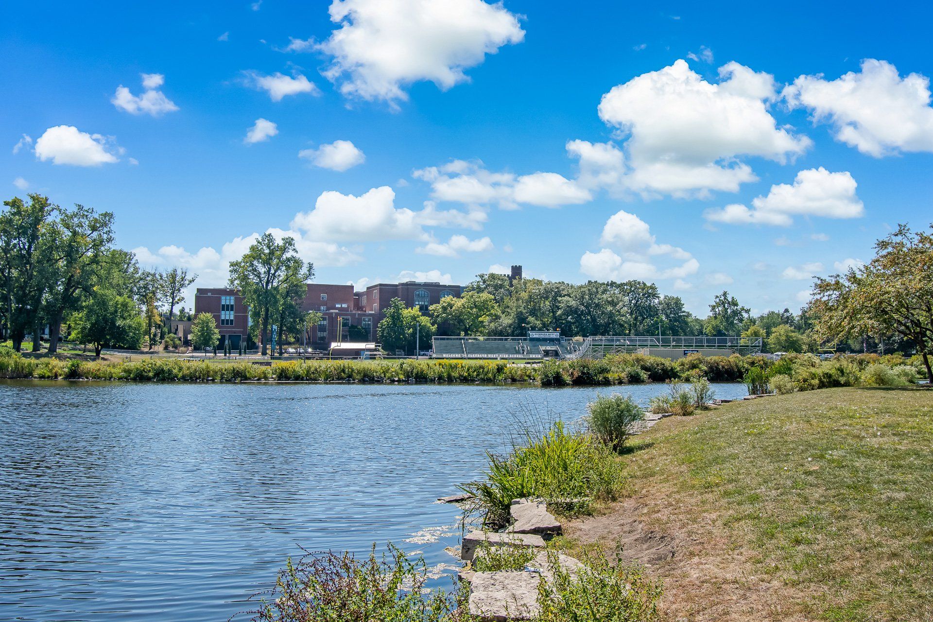 A large body of water surrounded by trees and grass on a sunny day.