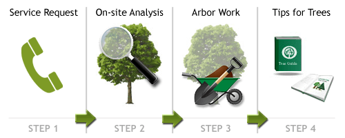 Arborcorp's Residential Services