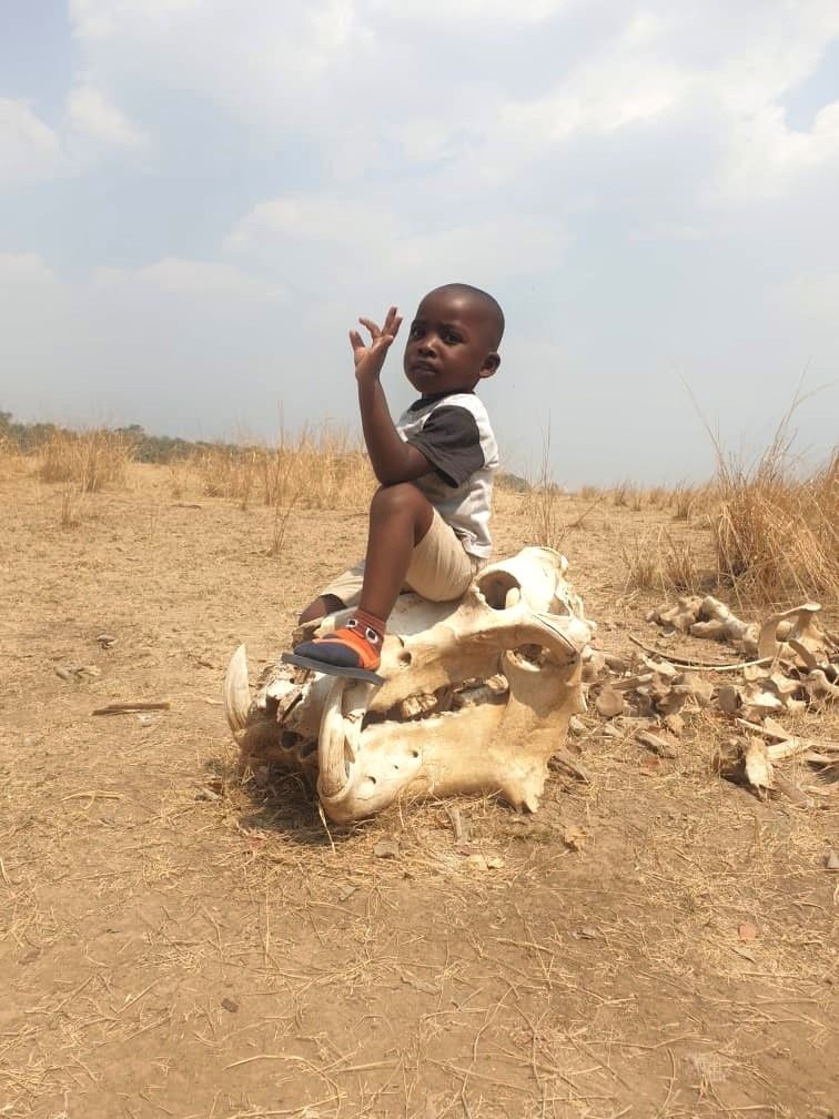 Young child sitting on a large animal skull in a dry, grassy landscape; waving.