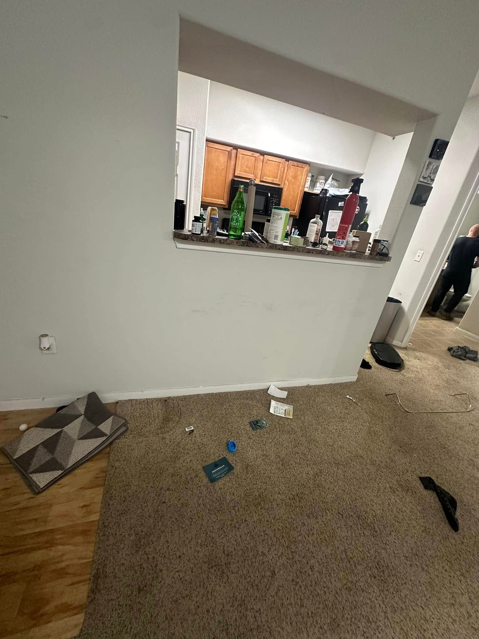 A living room with a view of a kitchen through a window.
