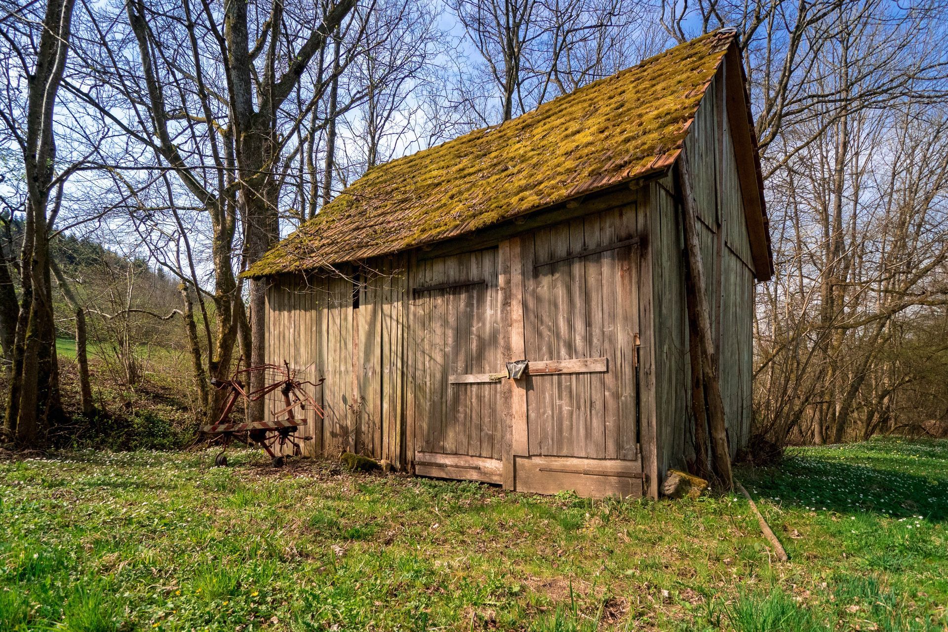 An old wooden barn with a mossy roof is sitting in the middle of a grassy field.