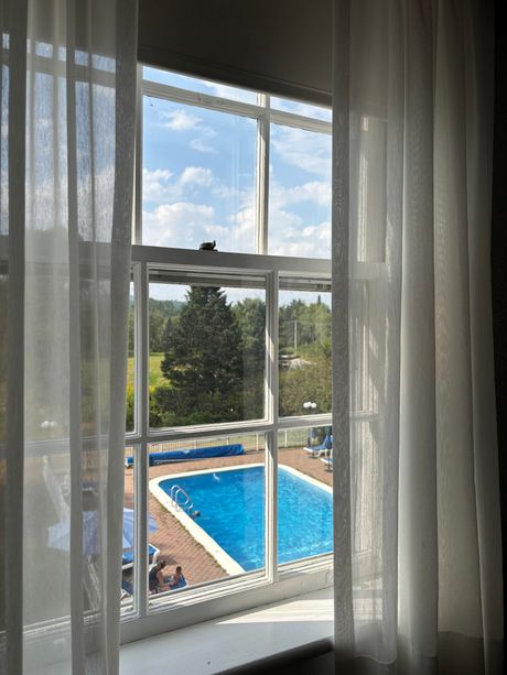 Window view of a swimming pool, trees, and blue sky, framed by white curtains.