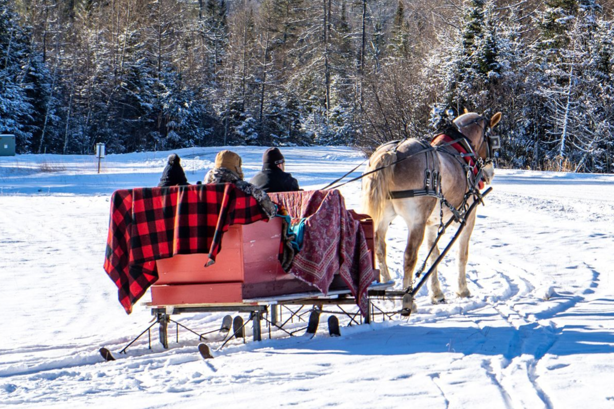 Horse-drawn sleigh ride through snow-covered fields at Franconia Inn in the White Mountains.
