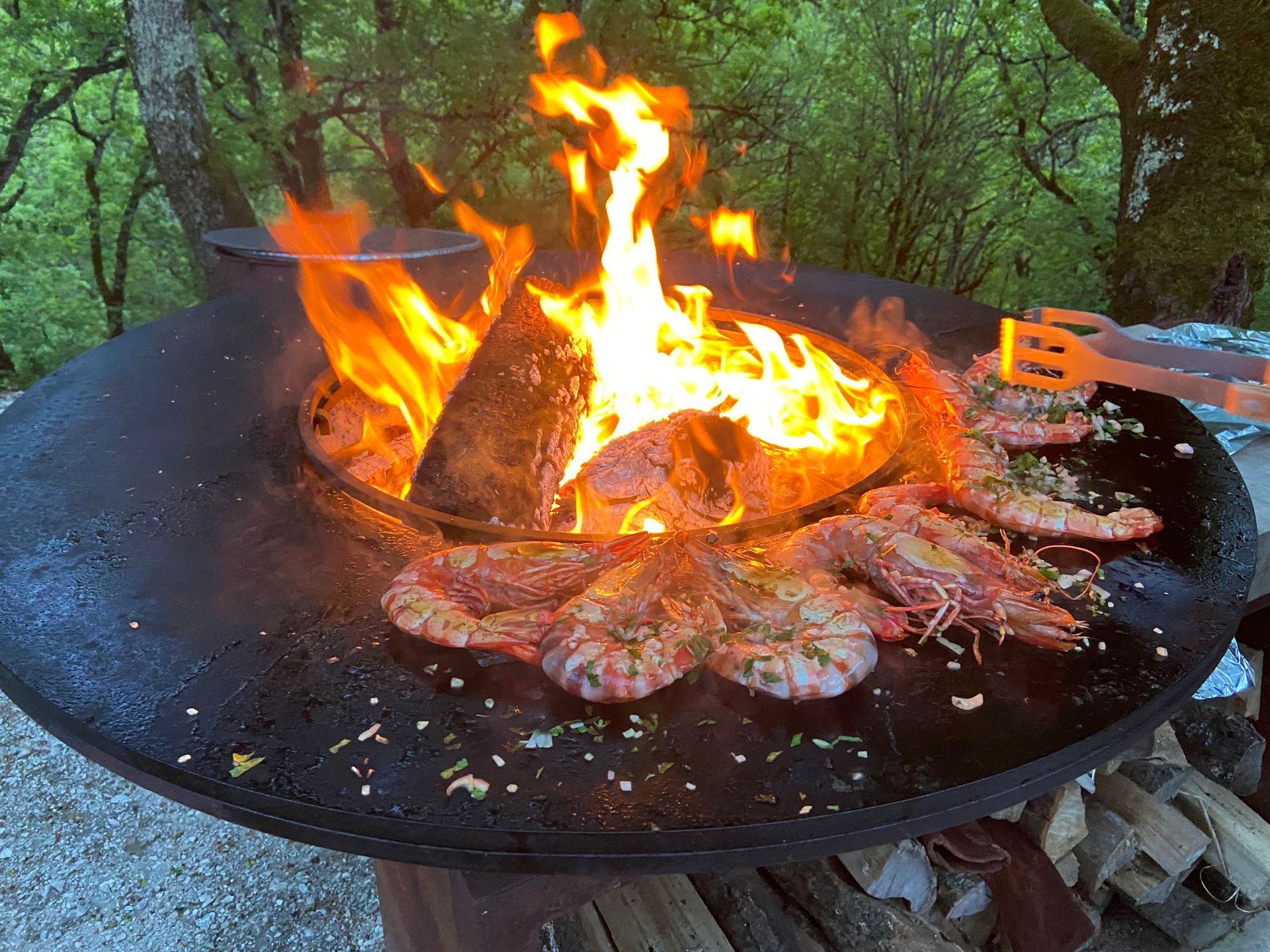 Crevettes grillées au feu de bois. Flammes, surface de cuisson, pinces. Cadre extérieur.