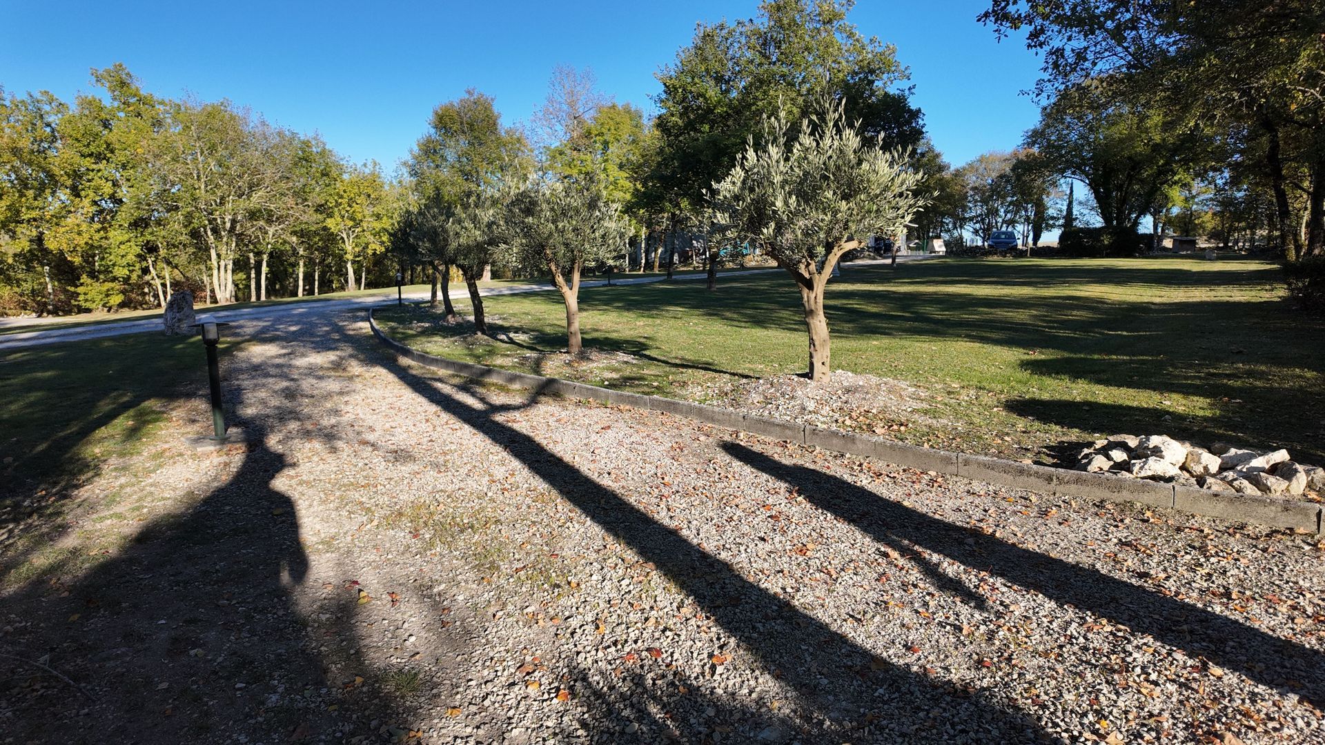 Chemin de gravier bordé de jeunes arbres dans un champ herbeux par une journée ensoleillée. De longues ombres s'étirent sur le chemin.