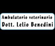 AMBULATORIO VETERINARIO DOTTOR LELIO BENEDINI - logo