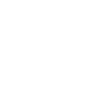 IYNAUS_regional_PRIMARY_service_mark_W Regional Associations Icon