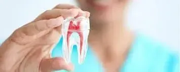 CLÍNICA DENTAL ANÁHUAC