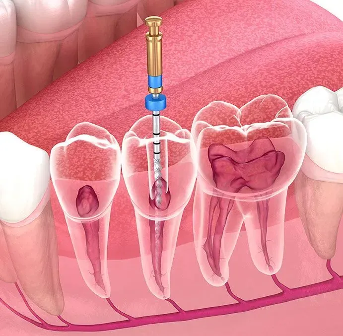 CLÍNICA DENTAL ANÁHUAC