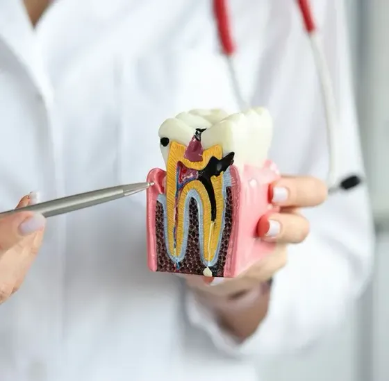 CLÍNICA DENTAL ANÁHUAC