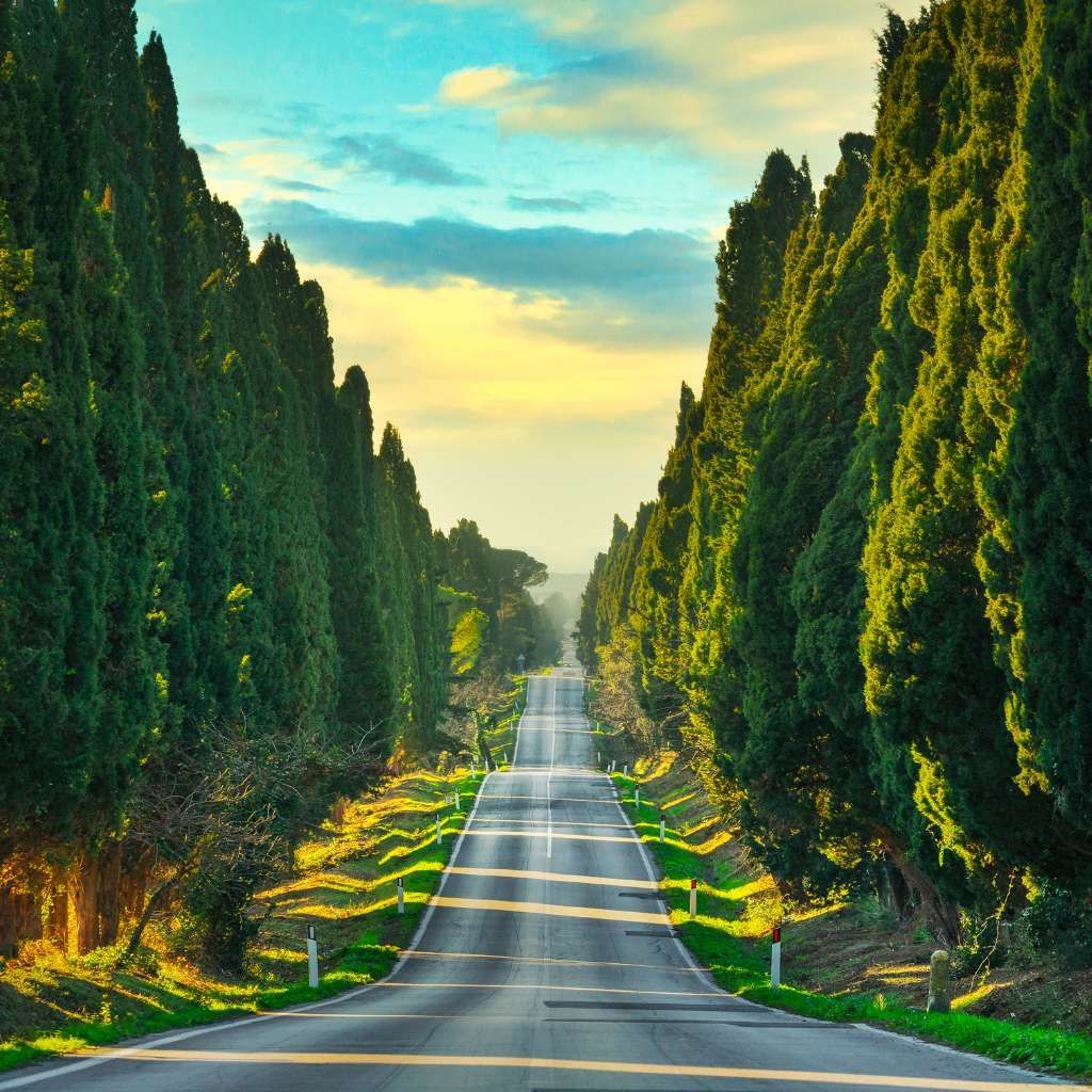 Tuscany Daily Tours Bolgheri